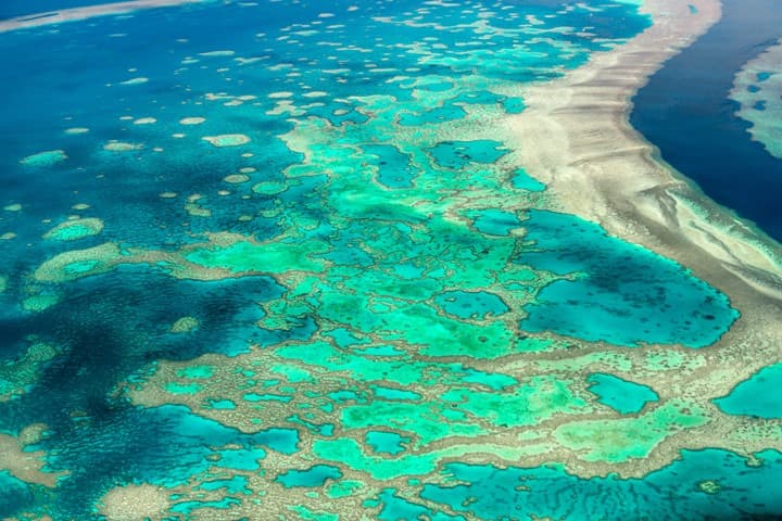 Coral Reef Mapping